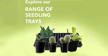 /Explore Our Plastic Seeding Trays Making Machine