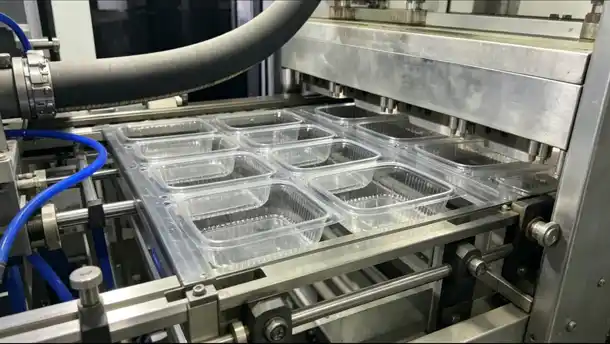 Lunch boxes emerge from the high-speed thermoforming machine.