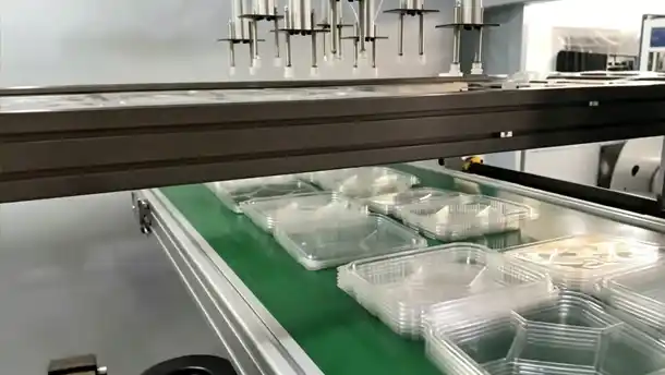 thermoforming machine produces disposable PET 6-grid food containers